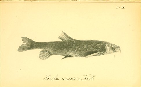 n204_w1150