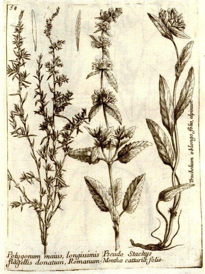n263_w1150