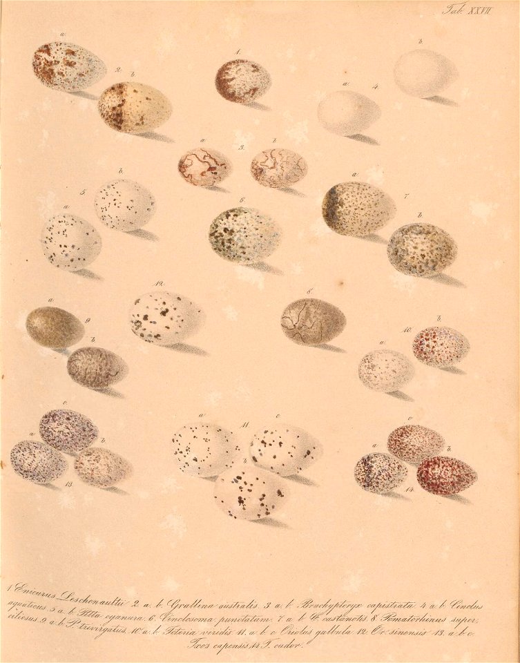 n58_w1150