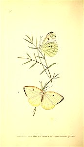 n93_w1150