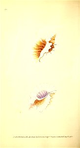 n121_w1150