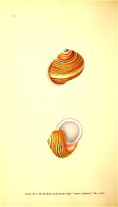 n159_w1150