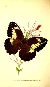 n85_w1150