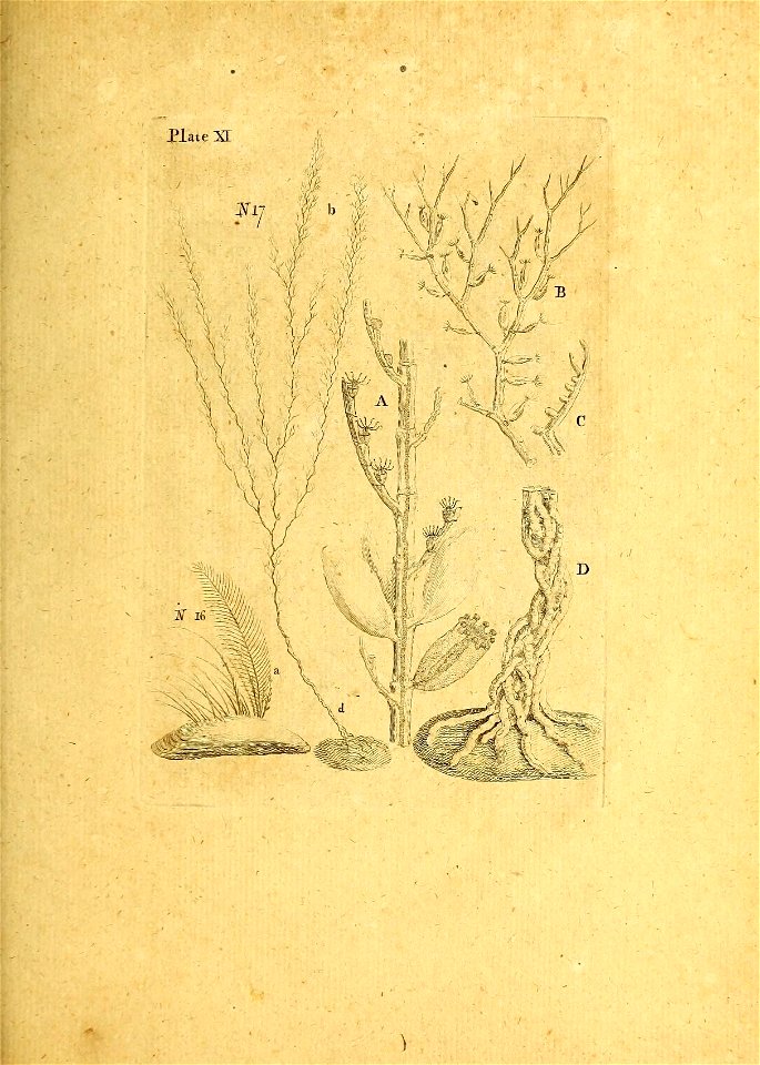 n172_w1150