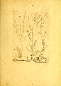 n172_w1150