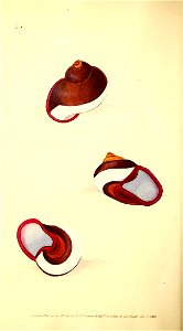 n127_w1150