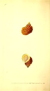 n121_w1150