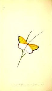 n75_w1150