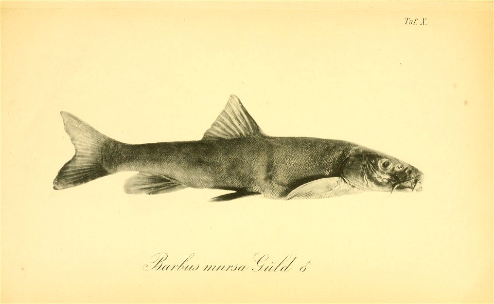 n208_w1150