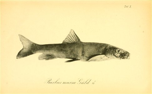 n208_w1150