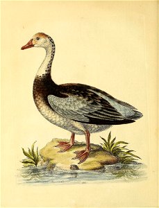 n149_w1150