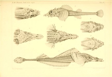 n492_w1150