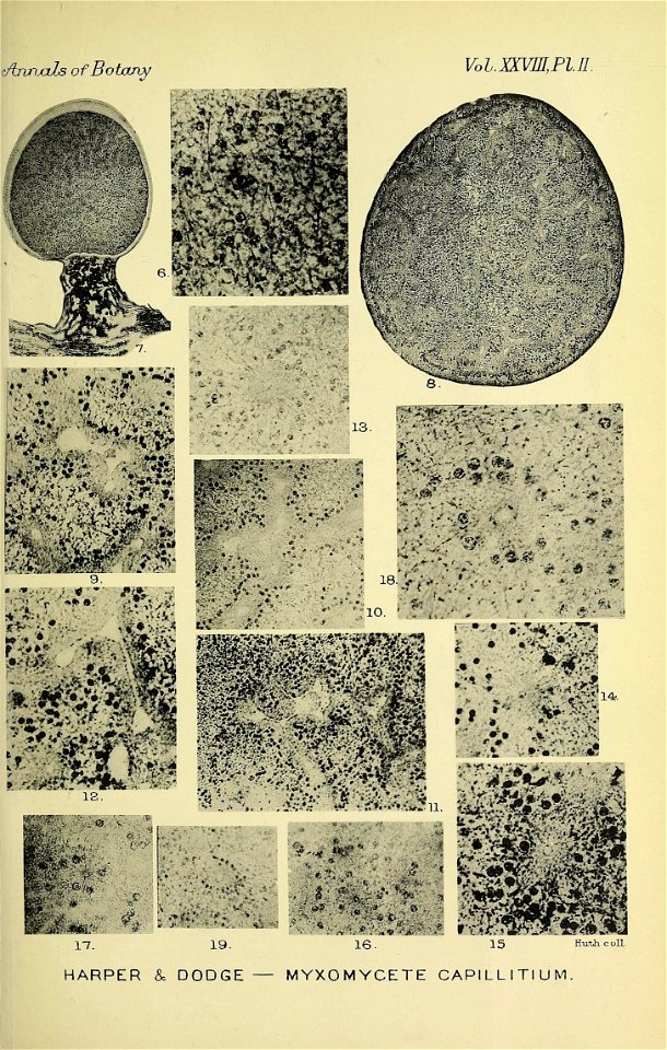 n38_w1150