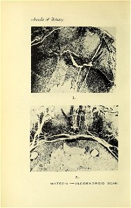 n663_w1150