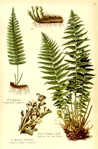 n40_w1150