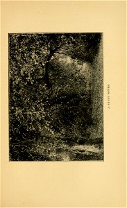 n190_w1150