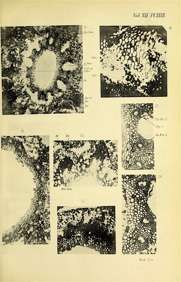 n562_w1150