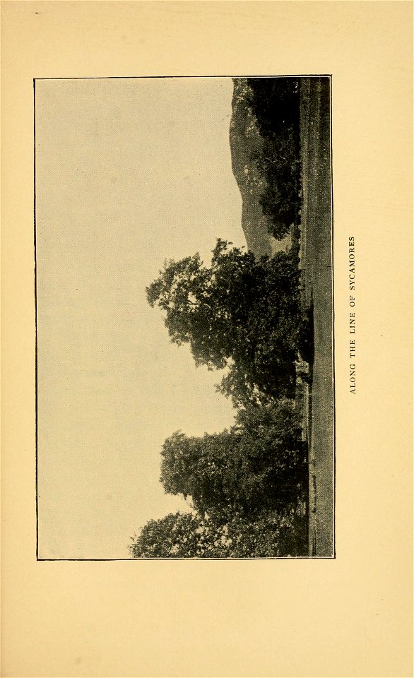 n152_w1150