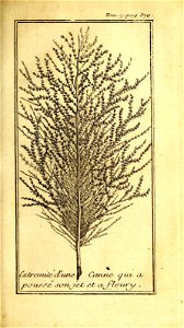 n446_w1150