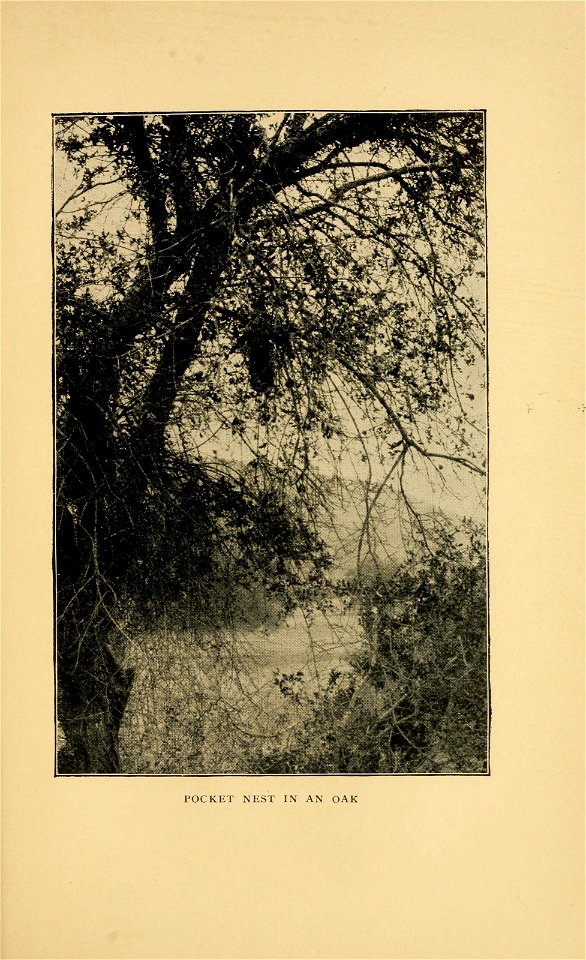 n132_w1150