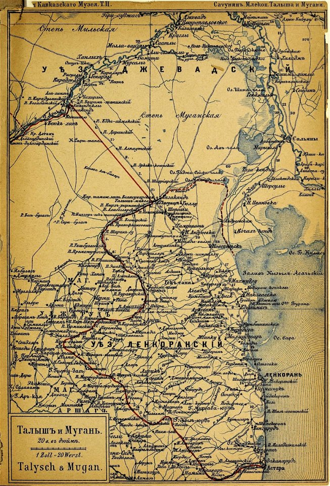 n446_w1150