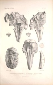 n152_w1150