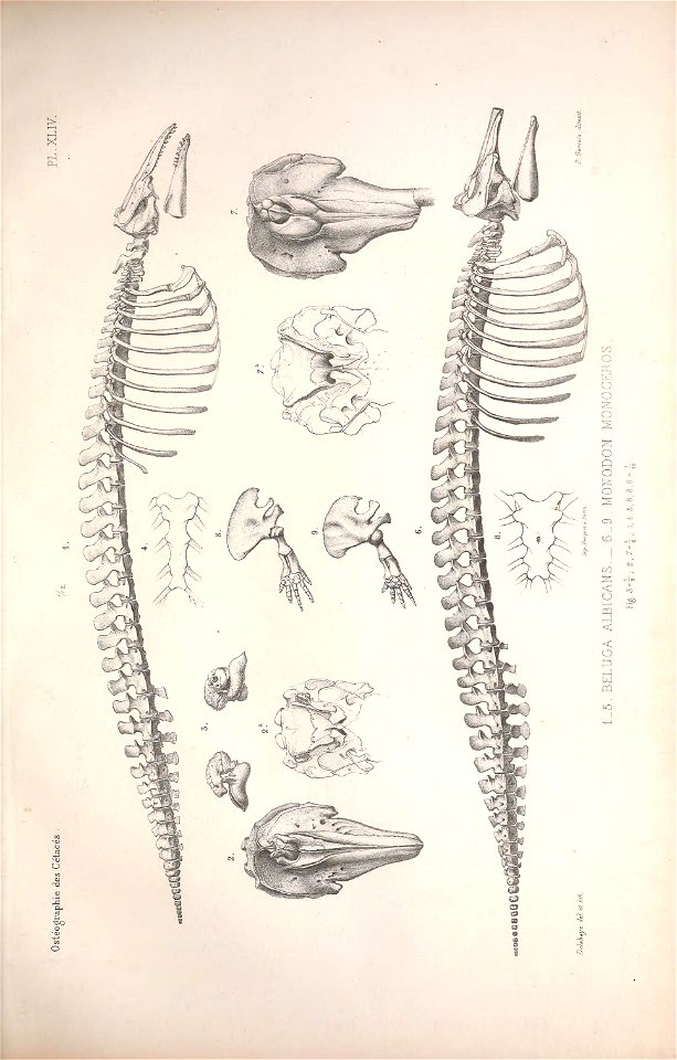 n118_w1150
