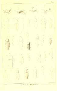 n544_w1150