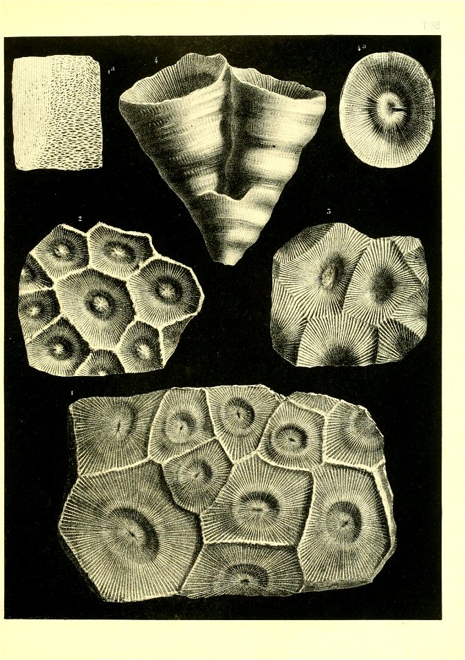 n436_w1150