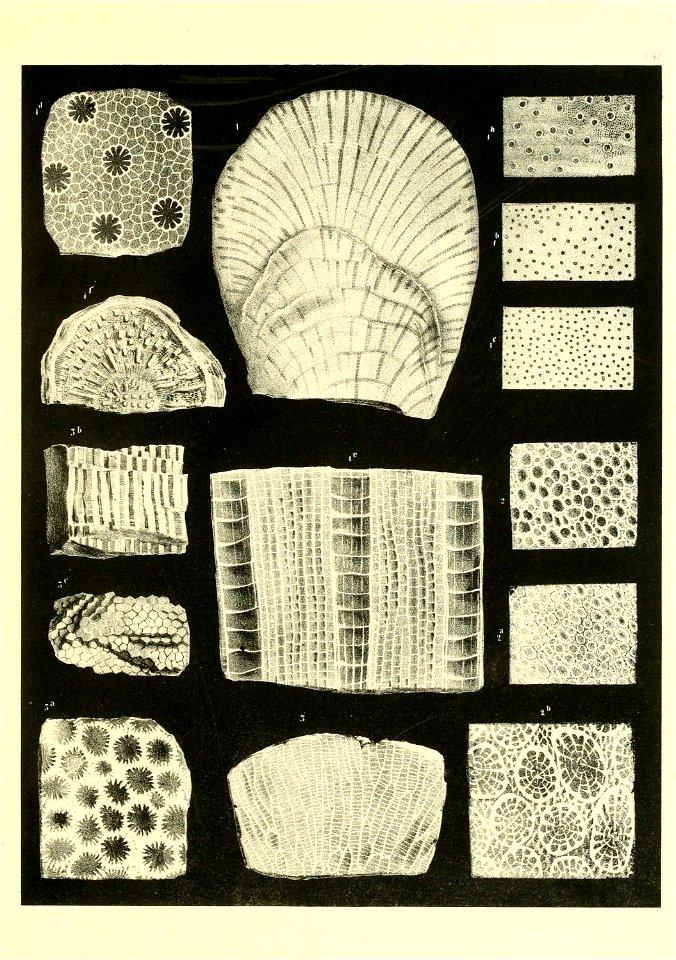n546_w1150