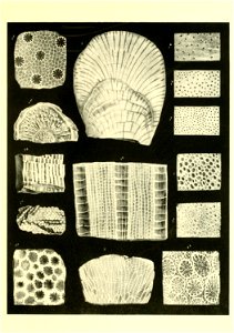 n546_w1150