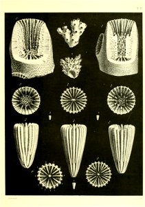 n174_w1150