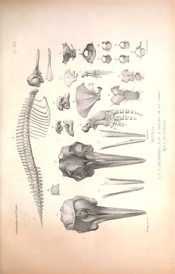 n112_w1150
