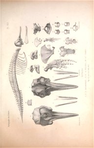 n112_w1150