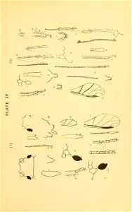 n118_w1150