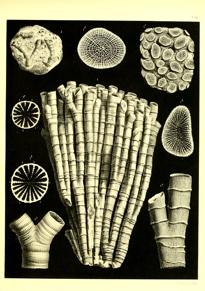 n306_w1150