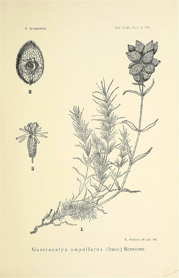 n248_w1150