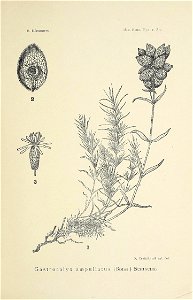 n248_w1150