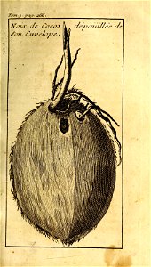 n304_w1150