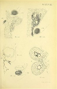 n378_w1150