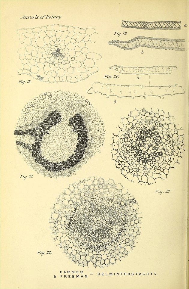 n567_w1150