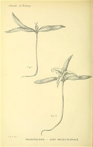 n923_w1150
