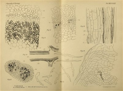 n564_w1150