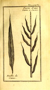 n394_w1150