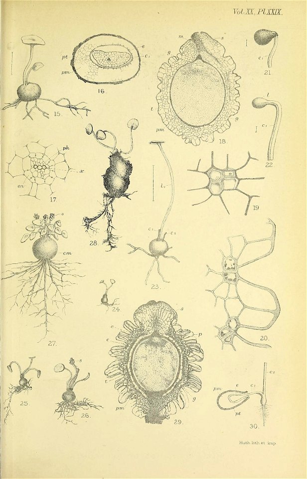 n562_w1150