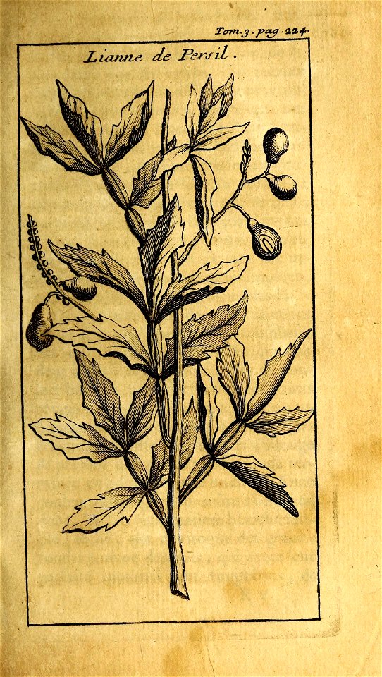 n252_w1150