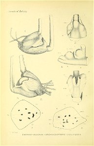 n341_w1150