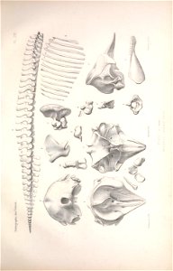 n156_w1150