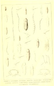 n552_w1150