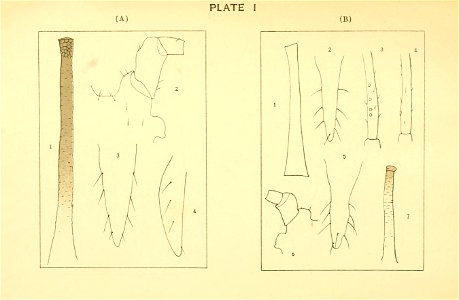 n140_w1150
